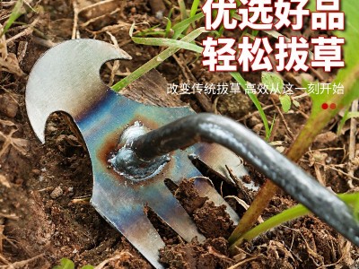 锄头除草神器拔草耙子连根野菜铲子多功能不锈钢除草工具园 艺松土图3
