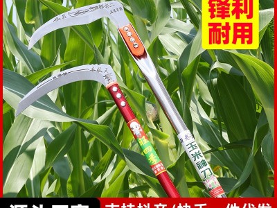 一件代发镰刀 割草刀农用连刀双砍王砍柴刀 割稻谷割玉米 收割神器图3