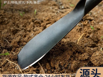 挖野菜铲子园艺工具套装家用种花移苗起苗器养花赶海农用铁铲铁锹图3