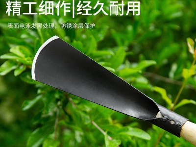 挖野菜铲子园艺工具套装家用种花移苗起苗器养花赶海农用铁铲铁锹图2