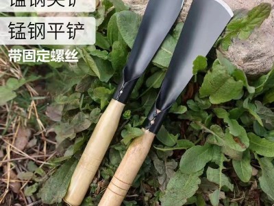 挖野菜铲子园艺工具套装家用种花移苗起苗器养花赶海农用铁铲铁锹图5