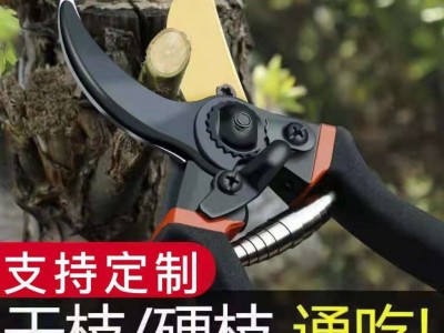 日本加厚SK5钢树枝剪刀强力剪粗枝园林剪外贸修剪果树修枝 剪批发图3