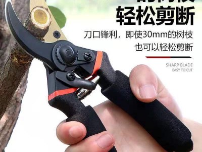 日本加厚SK5钢树枝剪刀强力剪粗枝园林剪外贸修剪果树修枝 剪批发图5