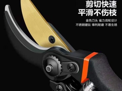 日本加厚SK5钢树枝剪刀强力剪粗枝园林剪外贸修剪果树修枝 剪批发图4
