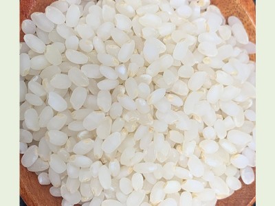东北老农 有机胚芽米2.5kg宝宝食谱粥米香大米批发会销礼品食品图2