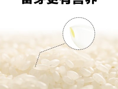 东北老农 当季稻香2号新米5kg10斤批发粳米香甜软糯 真空包装图1