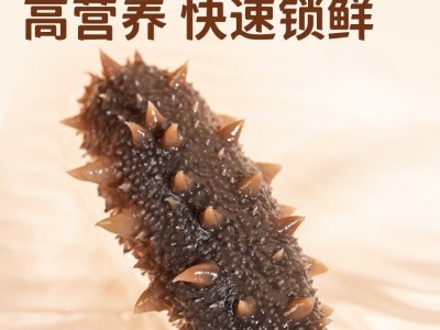 海参即食大连海参500g鲜活辽参海参刺参单个装顺丰图2
