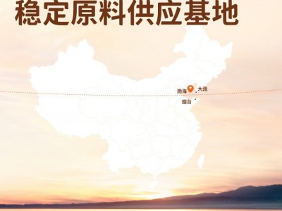 海参即食大连海参500g鲜活辽参海参刺参单个装顺丰图3