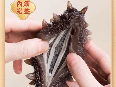 源头工厂 淡干海参大连海参干货批发纯淡干辽刺参50g图3