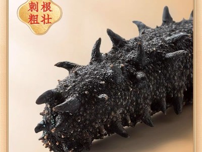 源头工厂 淡干海参大连海参干货批发纯淡干辽刺参50g图2