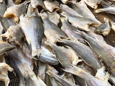 厂家新货鲈鱼干海鲜干货卢鱼咸鱼干散装咸鱼批发饭堂快餐店摆地摊图4