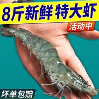 青岛大虾整箱海鲜鲜活速冻超特大冷冻基围虾鲜虾海虾对虾青虾