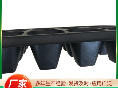 育苗穴盘厂家供应托盘草莓瓜果林木培育种植幼苗加深加厚育苗盘图4
