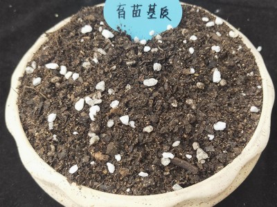 批发育苗基质蔬菜花卉苗木育苗土营养土种菜兰花多肉扦插育苗基质图4