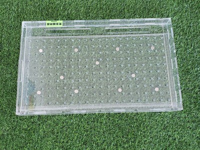 育苗播种器手持播种器玉米芥蓝甘蓝花菜西蓝花多孔农业穴盘播种器图4