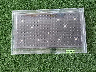 育苗播种器手持播种器玉米芥蓝甘蓝花菜西蓝花多孔农业穴盘播种器图3