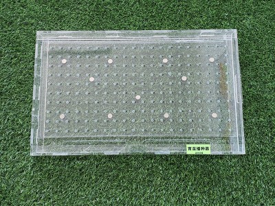 育苗播种器手持播种器玉米芥蓝甘蓝花菜西蓝花多孔农业穴盘播种器图2