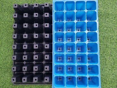 园林育苗用32孔高脚育苗盒温室多肉苗用育苗穴盘 温室用育苗穴盘图4
