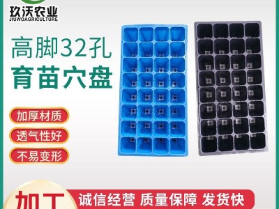 园林育苗用32孔高脚育苗盒温室多肉苗用育苗穴盘 温室用育苗穴盘图2