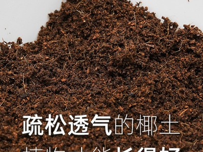 批发椰糠椰砖种植土 兰花蔬菜种菜无土培基质约5公斤营养土椰土图3