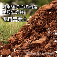 营养土通用型大包月季铁线莲绣球专用泥炭土君子兰椰壳种植土养花