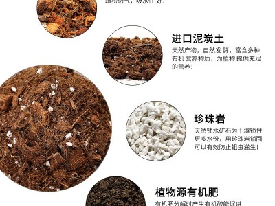 营养土通用型大包月季铁线莲绣球专用泥炭土君子兰椰壳种植土养花图4