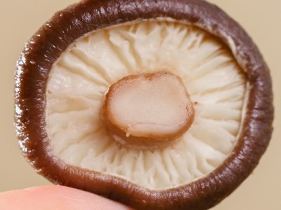 【一件代发】源野干香菇68g剪脚蘑菇香菇干货批发菌菇土特产新货图4