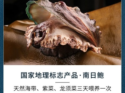 岛之原南日鲍三头大鲍酒店酒楼开袋加热即食鲍鱼捞饭单只装图3