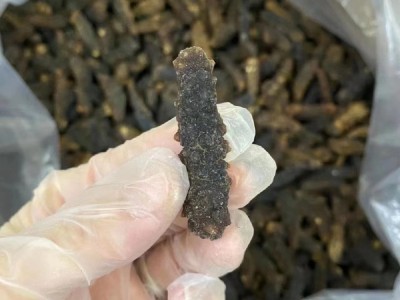 印尼黑刺参海参小黑刺参130头礼盒商用淡干刺参干货批发一件代发图3