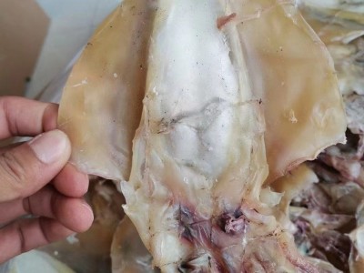 淡晒墨鱼干海鲜干货目鱼干淡干大墨鱼北海墨鱼批发厂家货源一件代图3