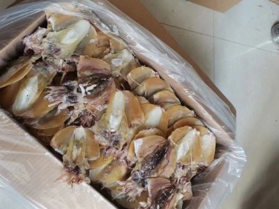淡晒墨鱼干海鲜干货目鱼干淡干大墨鱼北海墨鱼批发厂家货源一件代图4