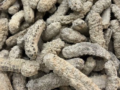 白黄玉参海参干货黄肉海参酒店餐饮刺王参50头图4