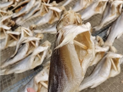 鲈鱼干新晒海鱼干海鲜干货渔民自晒咸鱼干肉多刺少海鱼干批发图4