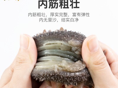 即食海参批发单个装口感软糯速食大连海参辽刺参海生即时海参礼盒图2