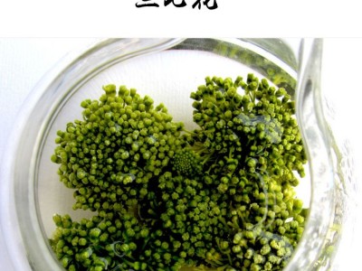 批发三七花田七花 云南文山二年三年新三七花 林记三七花 新花图5