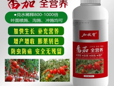 番茄专用药叶面肥保花保果促花促果膨大着色增产防裂防虫抗病图4