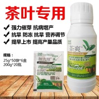 茶叶茶树专用叶面肥催芽剂催芽素茶树茶叶防冻防寒专用药