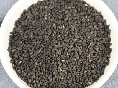 黑芝麻五谷杂粮磨粉原料芝麻丸豆浆面包糕点烘焙辅料袋装黑芝麻图3