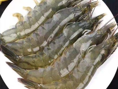 白虾净重3斤厄瓜多尔大虾青虾批发 新鲜食材冷冻摆摊大小饭店供货图4
