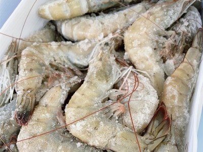 白虾净重3斤厄瓜多尔大虾青虾批发 新鲜食材冷冻摆摊大小饭店供货图2