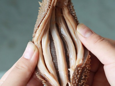 【工厂直供】阿拉斯加即食500g进口海参美国红参现货批发图4