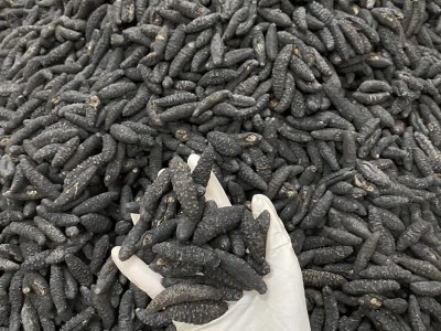 爱琴海土耳其海参希腊疙瘩米刺参 淡干黑刺参海参干货诚招代理图4