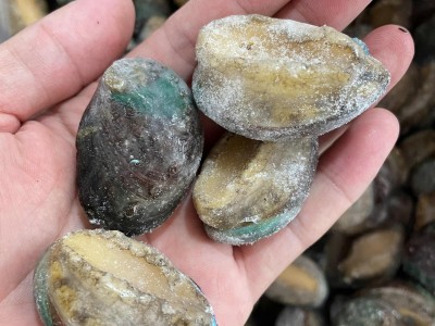冻鲍鱼带壳小鲍鱼海鲜水产贝类散装中餐酒店佛跳墙烧烤煲汤捞汁图2