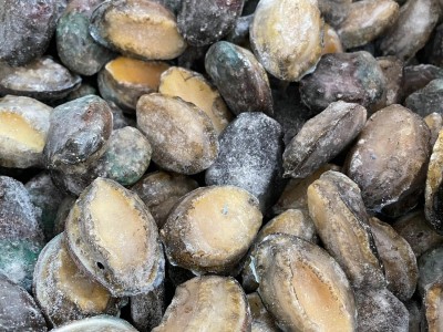 冻鲍鱼带壳小鲍鱼海鲜水产贝类散装中餐酒店佛跳墙烧烤煲汤捞汁图5