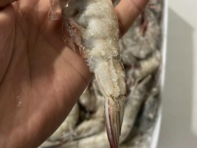 厄瓜多尔白虾冰冻大虾大基围盐冻大虾海捕大对虾青虾速冻深海虾图3