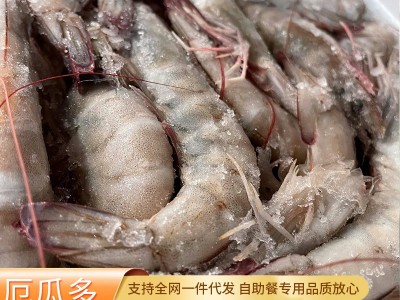 厄瓜多尔白虾冰冻大虾大基围盐冻大虾海捕大对虾青虾速冻深海虾图1