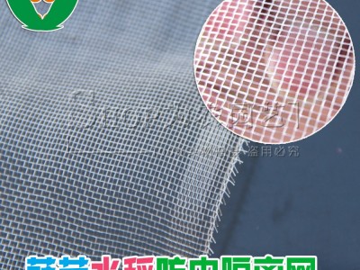 40目蔬菜防虫网罩 大棚农用防虫网蔬菜网聚乙烯网布 防鸟网拦鸟网图3