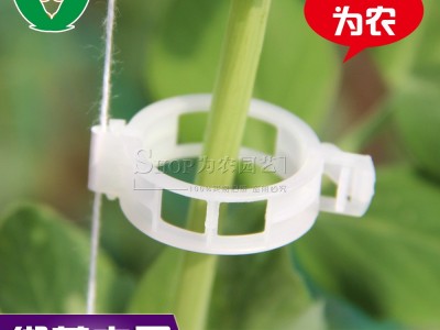 植物夹/吊秧夹子/塑料绑蔓夹/绑枝夹/吊蔓夹/扶蔓夹/藤蔓固定夹子图4