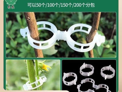 植物夹/吊秧夹子/塑料绑蔓夹/绑枝夹/吊蔓夹/扶蔓夹/藤蔓固定夹子图2