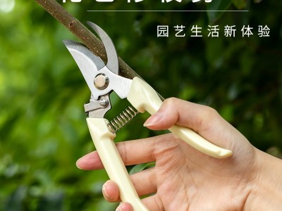 直头树枝剪刀多功能园艺果蔬剪大号花艺盆栽枝叶树枝修剪水果剪图2